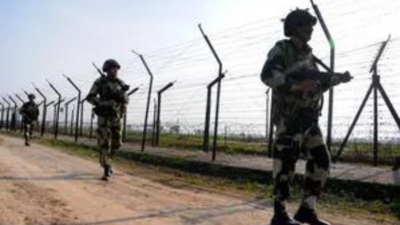 Army jawan dies successful  accidental firing successful  J&K's Rajouri