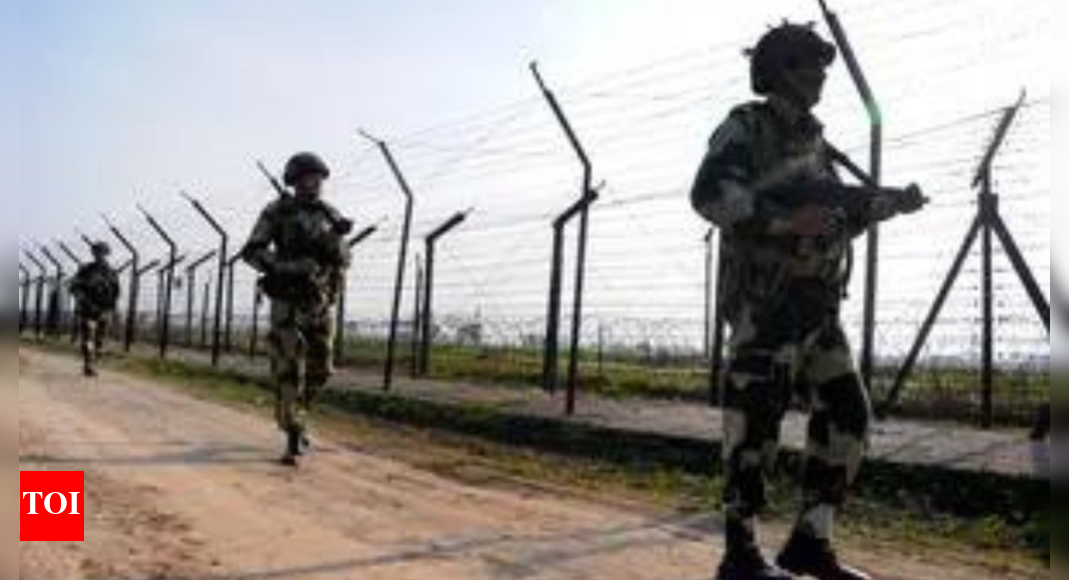 Army jawan dies in accidental firing in J&K's Rajouri