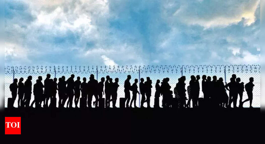 US records 85 unaccompanied Indian minors since Oct last year | Ahmedabad News  timesofindia.indiatimes.com