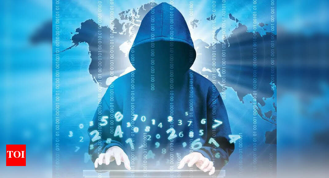Lured on matrimonial portal, bank officialloses Rs 34 lakh in crypto investment scam