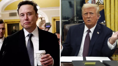  Donald Trump mocks Elon Musk's 'America Party'; says 'he tin  person  amusive  with it'
