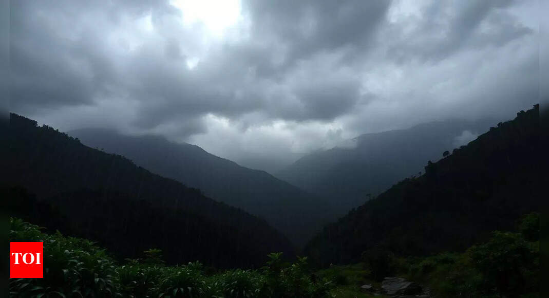 Delhi weather forecast: Monsoon showers expected with mild temperatures
