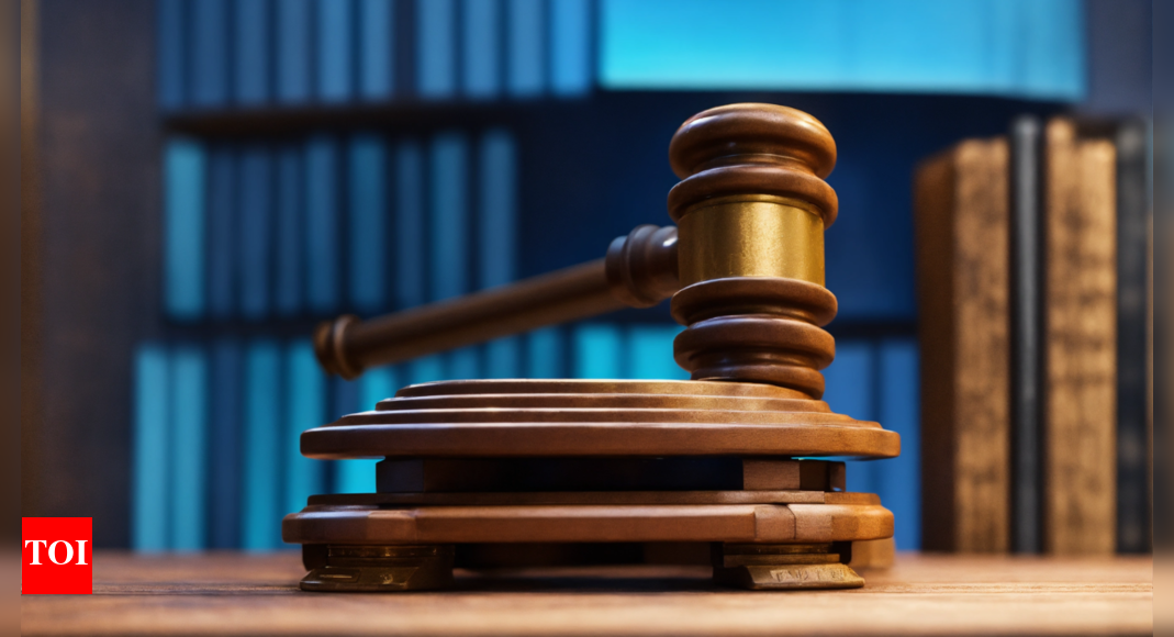 Setback for Celebi: HC junks Turkish firm's plea over airport security clearance