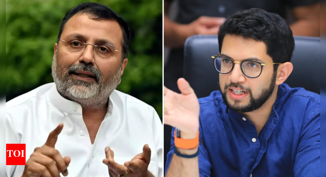 'Patak patak ke marenge': BJP MP Dubey targets Thackerays amid language row