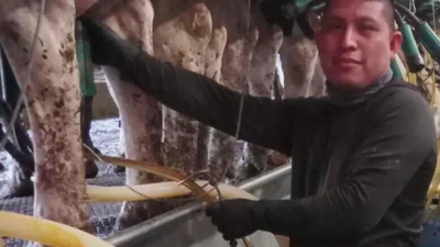 A Vermont dairy farm was raided. The mixed messages from Washington since then have increased fears