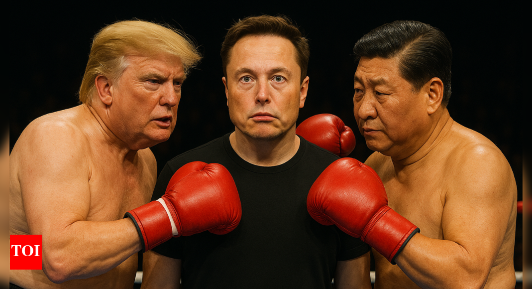 Tesla free-fall: Musk fights Trump, loses Xi - 'America Party' adds to chaos