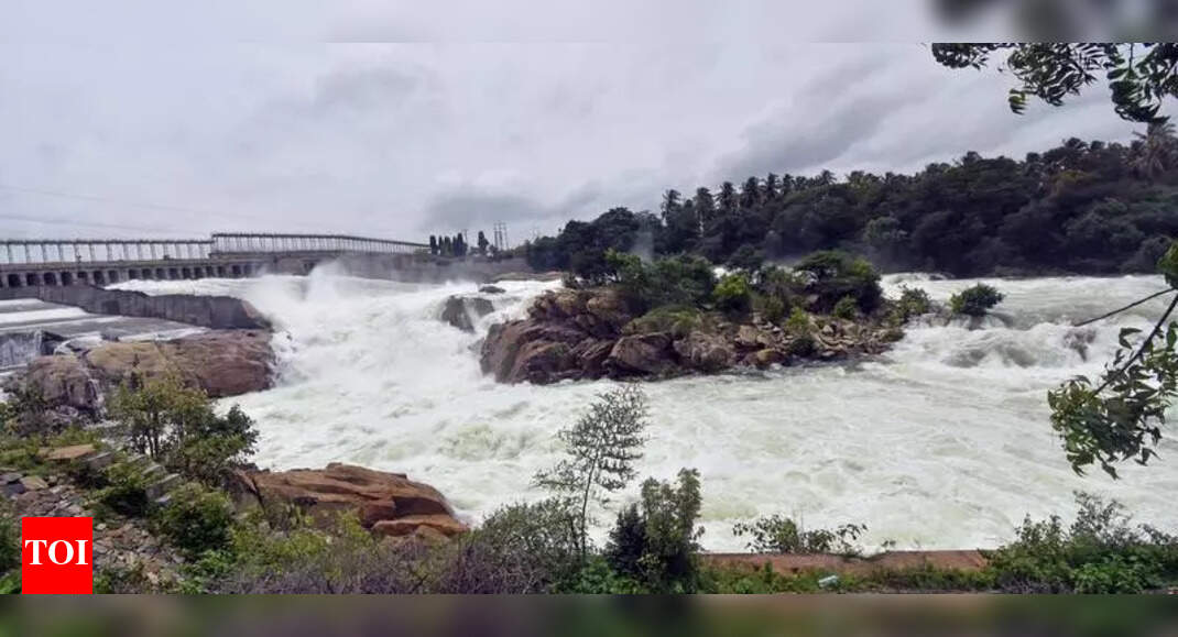 The Times of India - Politics - News Image