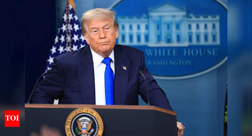 'Line being drawn': Trump administration to hold off 10ditional tariff on Brics nations, claims report