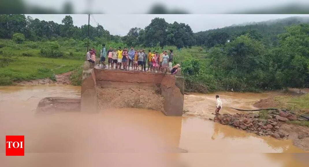 The Times of India - Politics - News Image