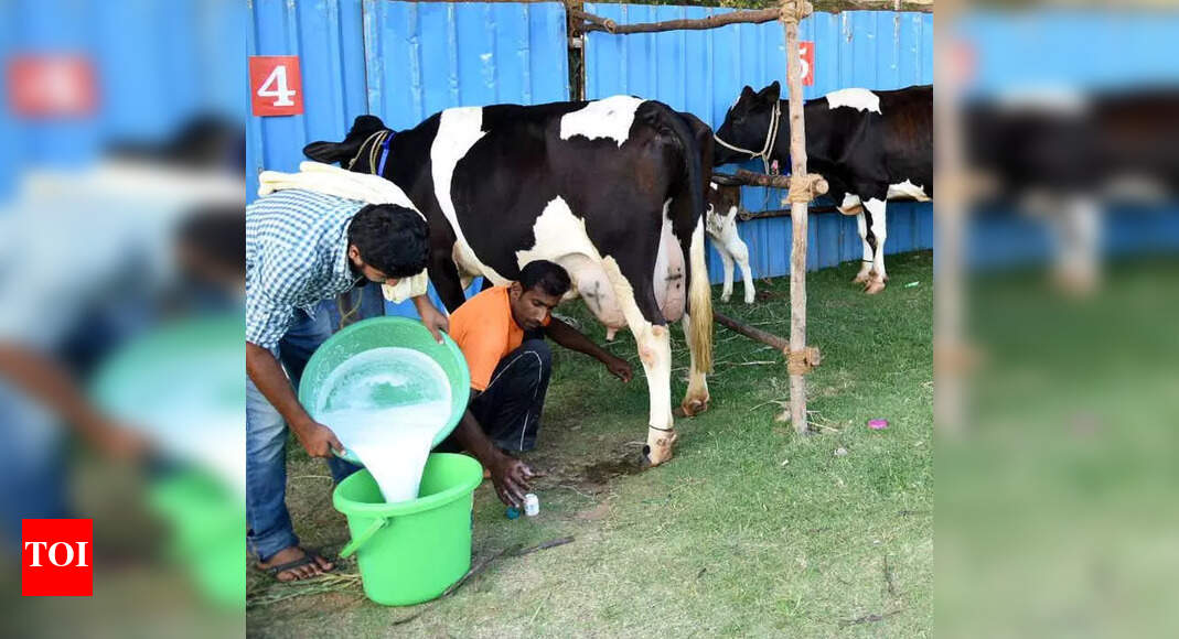 Shortage of veterinary doctors affects dairy farmers in Kushalnagar taluk