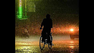 Amid humidity, IMD forecasts heavy rainfall
