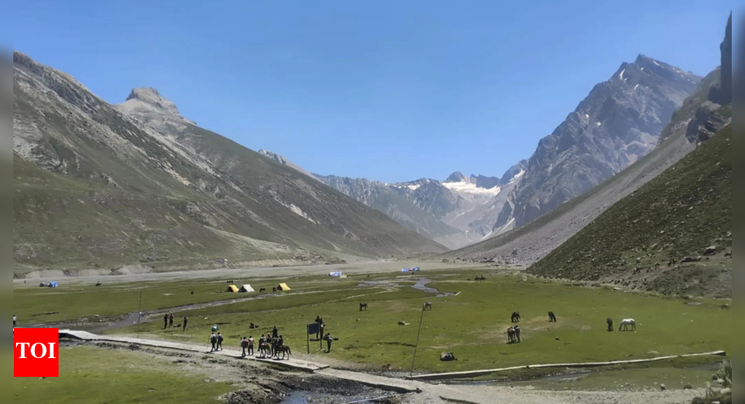 Tourism showing signs of revival in Kashmir, govt initiatives helping: Union min