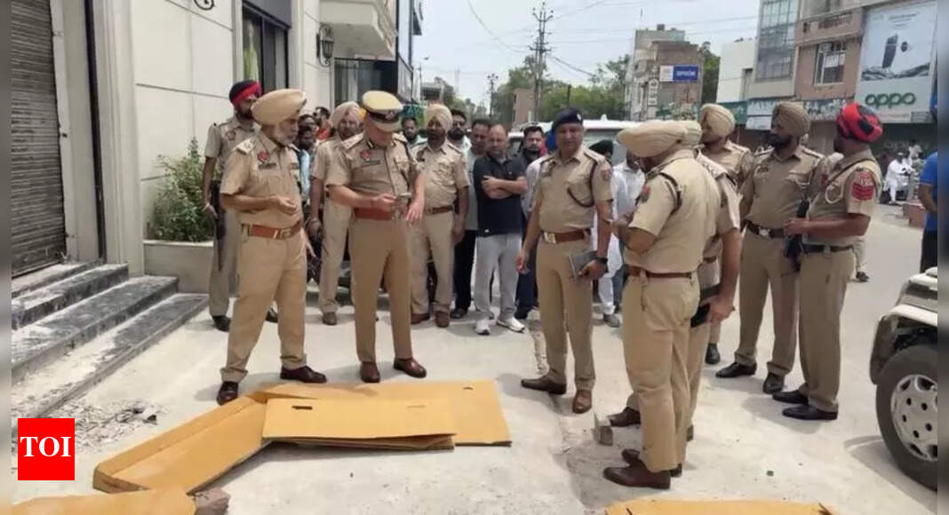 Crime in Punjab: Union MoS Ravneet Bittu likes situation to Mexico, Colombia; opposition leaders across party lines slam AAP government