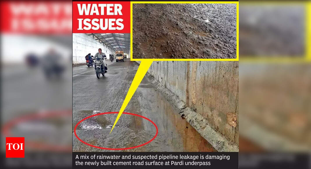 The Times of India - Business - News Image