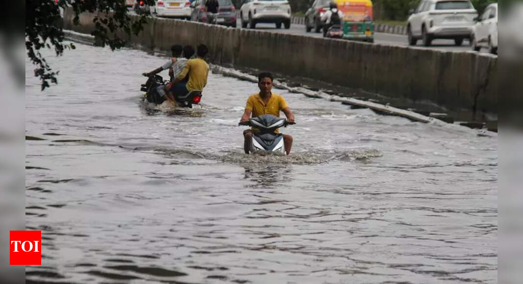 The Times of India - Other - News Image