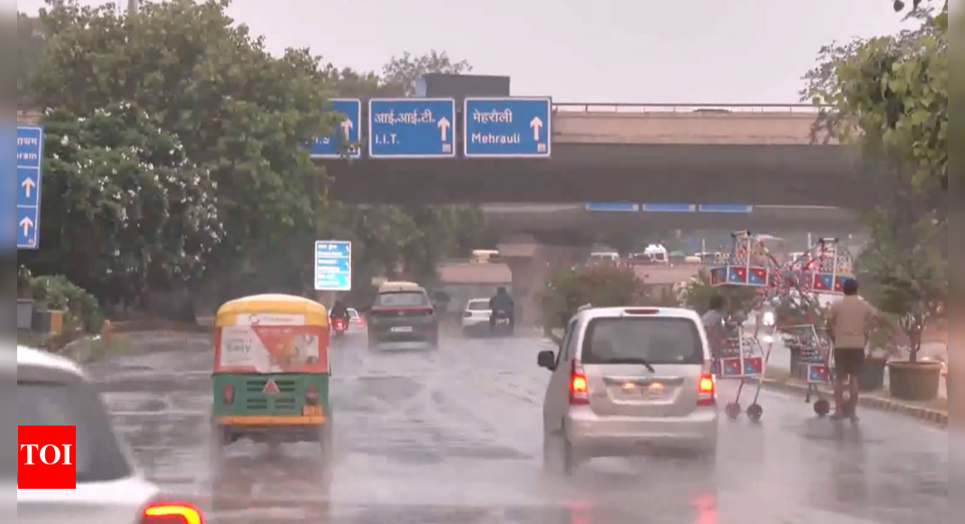 New Delhi weather update: Rain and heat expected in July 2025