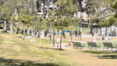 On horseback, heavily armed: Feds storm LA’s MacArthur Park only to find it empty - watch