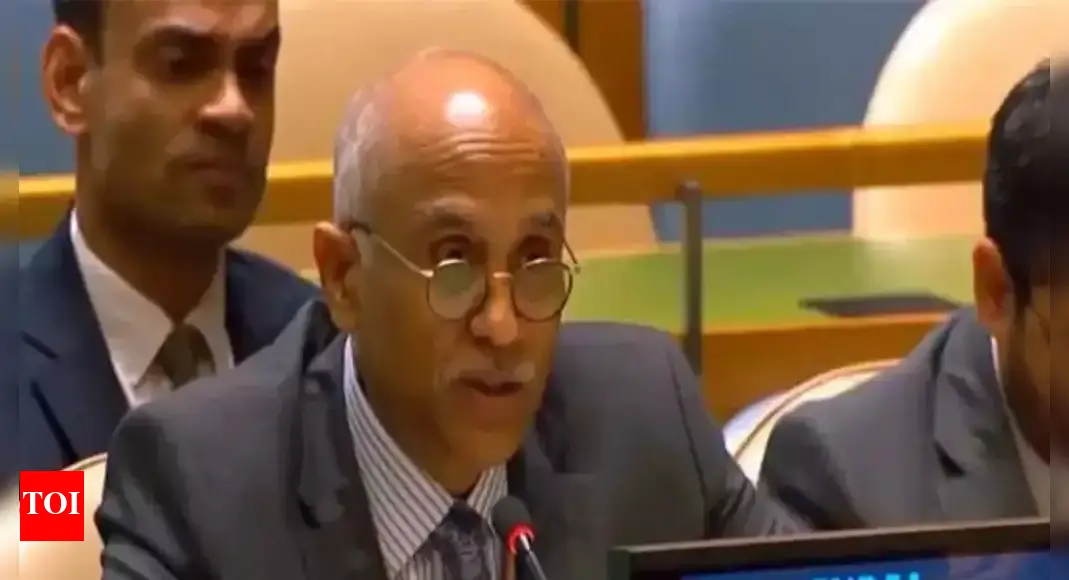 'Business-like approach unlikely to succeed': India cautions UNGA over Afghanistan; abstains on draft resolution
