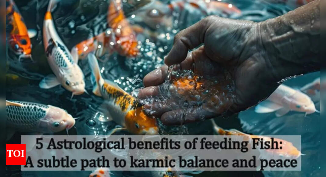5 Astrological benefits of feeding Fish: A subtle path to karmic ...