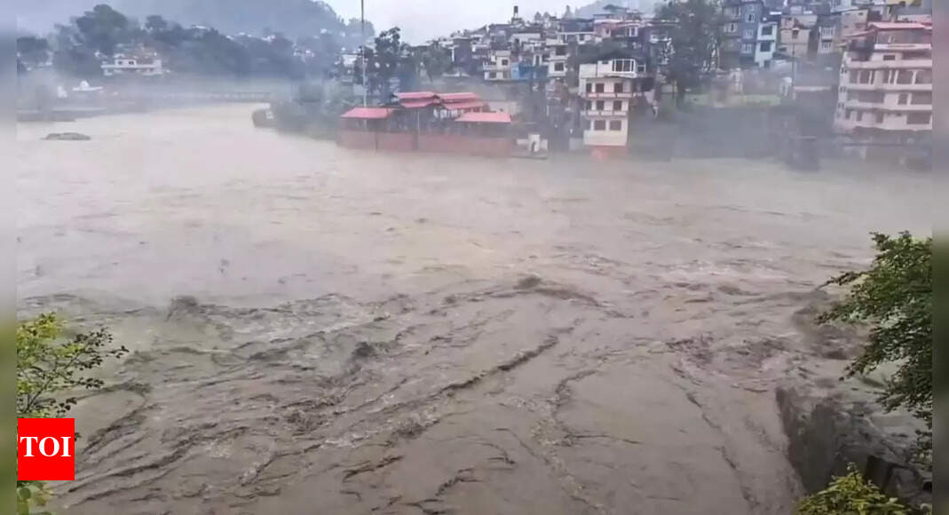 The Times of India - Business - News Image