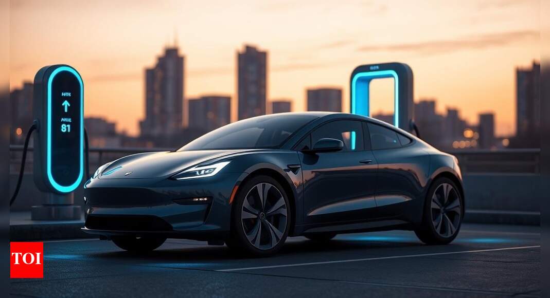 Elon Musk's Tesla rival VinFast enters India: RoadGrid to support charging; $500 million plant in works