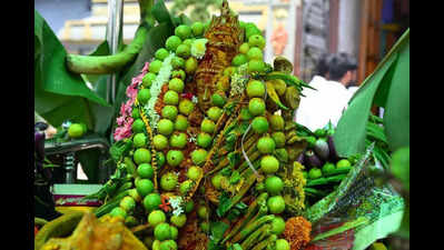 Shakambari festival begins at Kanaka Durga temple on grand note