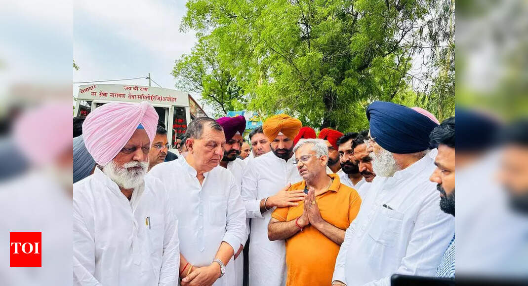 The Times of India - Politics - News Image