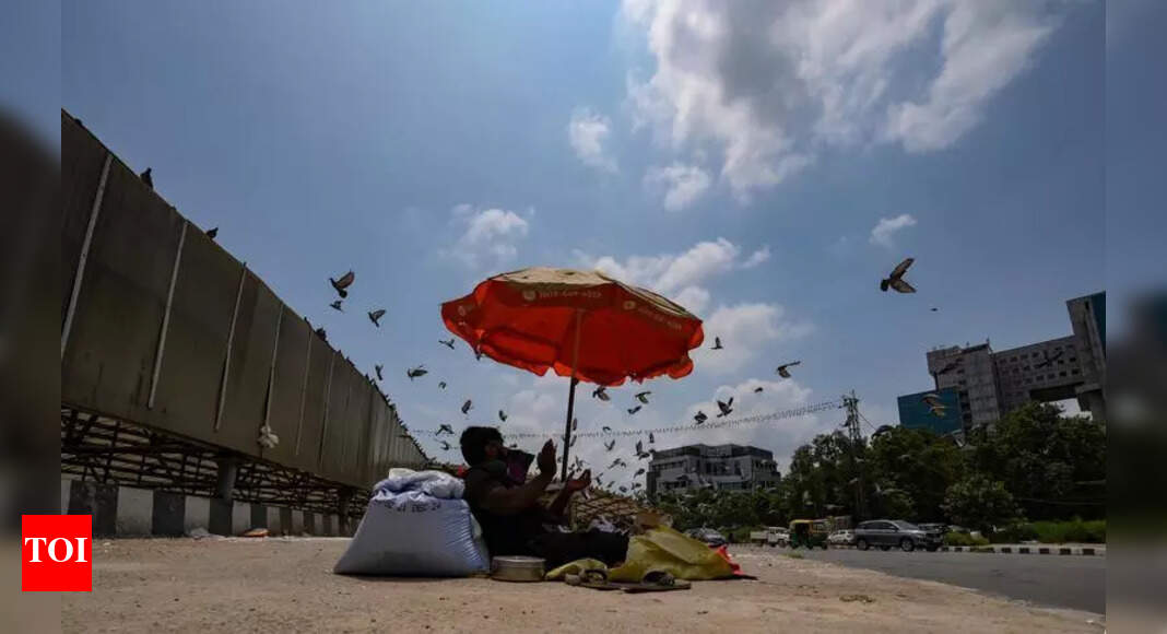 The Times of India - Other - News Image