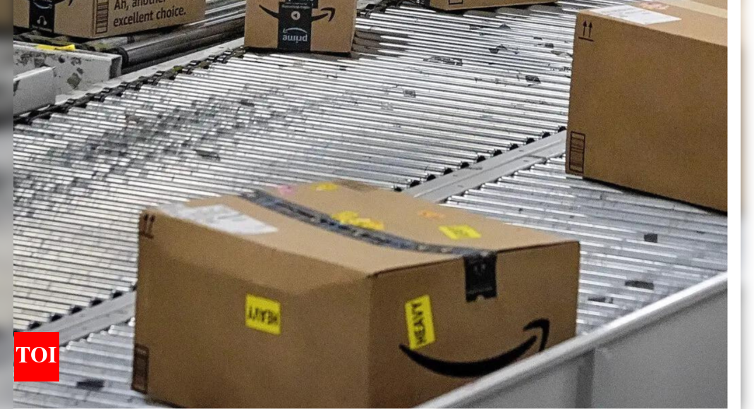 Component of Pulwama IED was ordered via Amazon: FATF