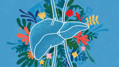 9 things about the liver a Harvard doctor wants everyone to know