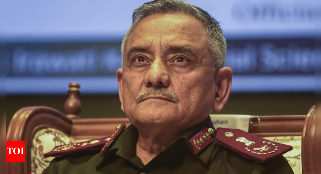 ‘May have implications on India's stability’: CDS warns of China-Pakistan-Bangladesh axis; watch