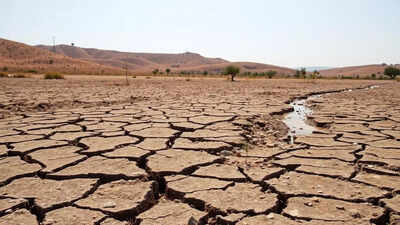 Almost half of Europe and Mediterranean basin hit by drought