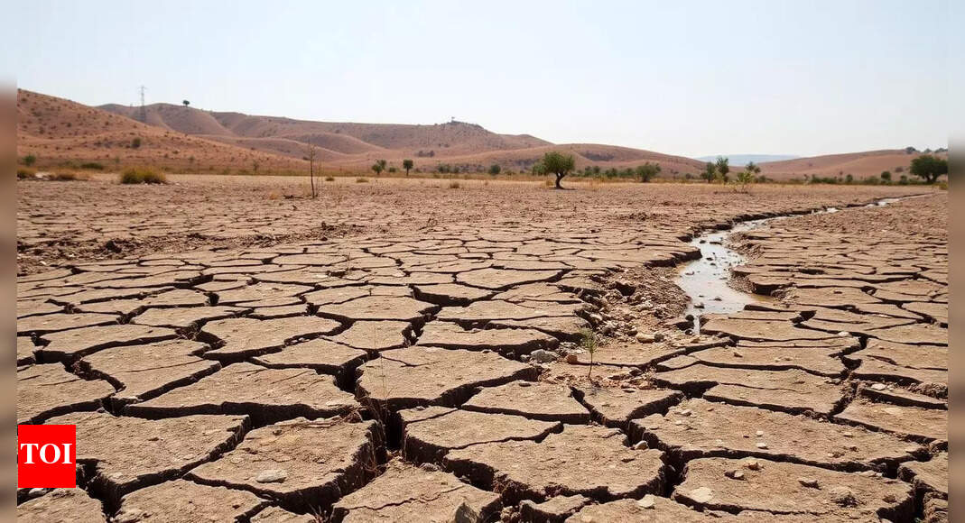 Almost half of Europe and Mediterranean basin hit by drought - Times of ...