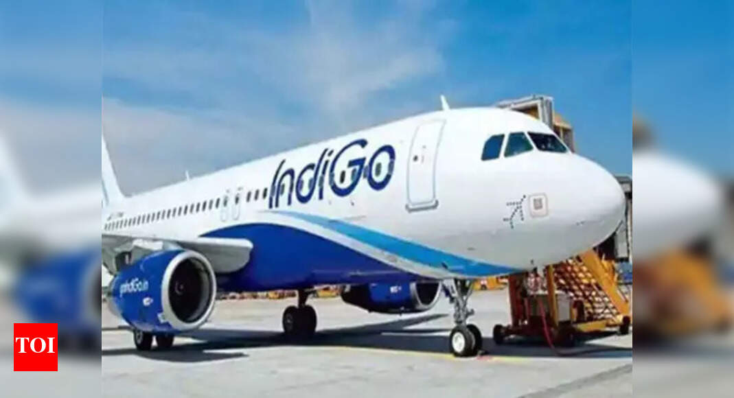 Mid-air scare: Delhi-bound IndiGo A320 flight makes emergency landing in Patna after bird hit | Patna News – Times of India