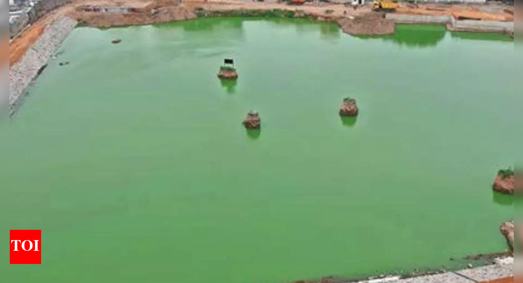 The Times of India - Other - News Image