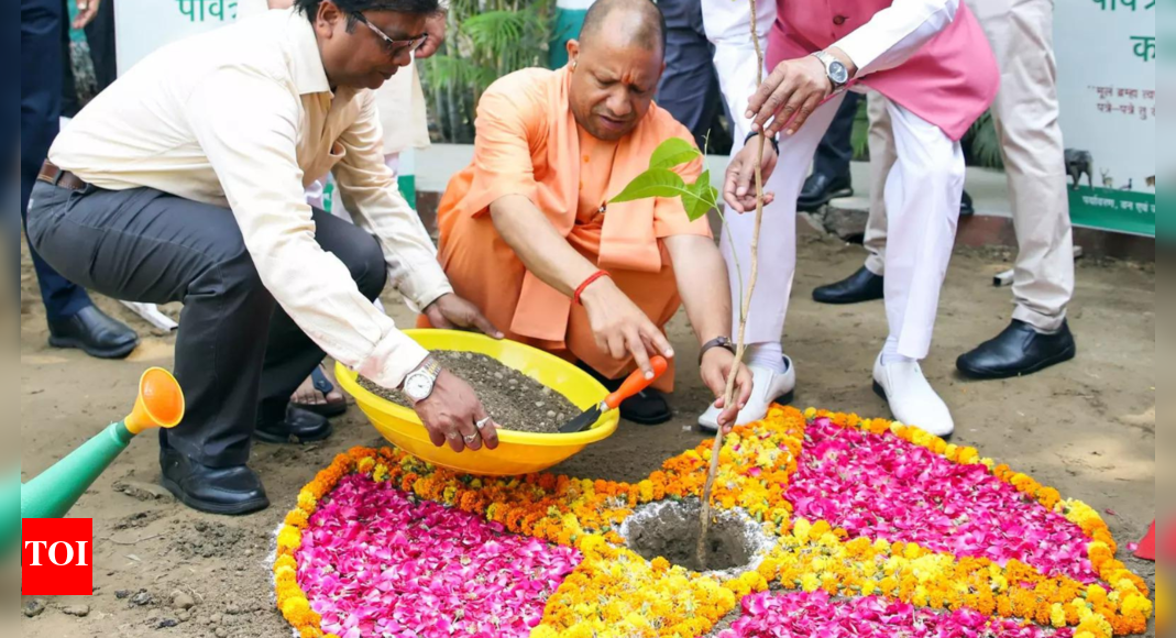 'Uttar Pradesh government to plant 52 crore saplings this year': CM Yogi Adityanath