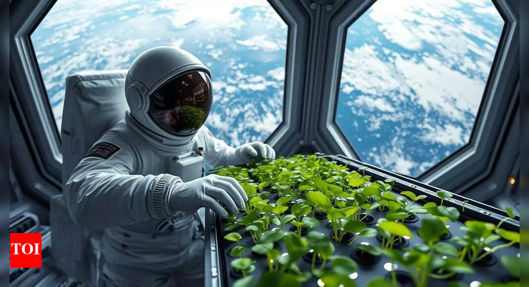 Space farming: Shubhanshu Shukla grows methi, moong on ISS; calls it ‘exciting and joyful work’
