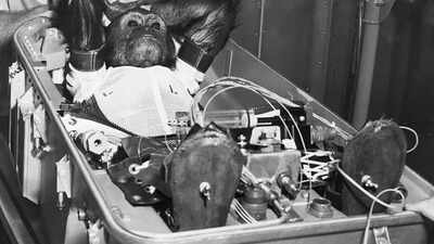 Animals that went into the space before humans did