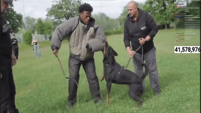  IShowSpeed gets bitten by a K9 dog during livestream in Slovenia, screams in fear