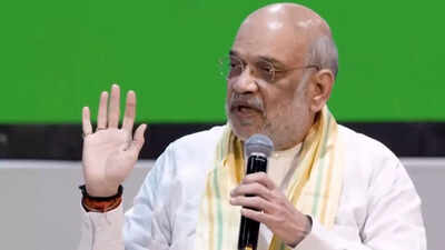 'Vedas and Upnishads': Amit Shah shares his post-retirement plans; natural farming also in focus