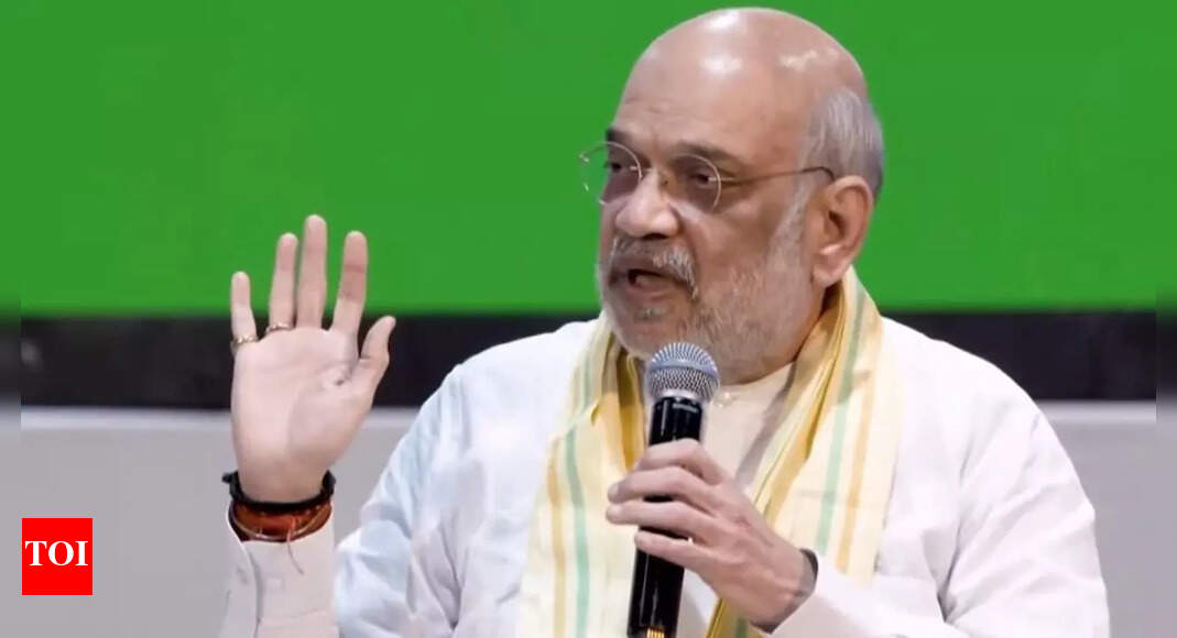 'Vedas and Upnishads': Amit Shah shares his post-retirement plans