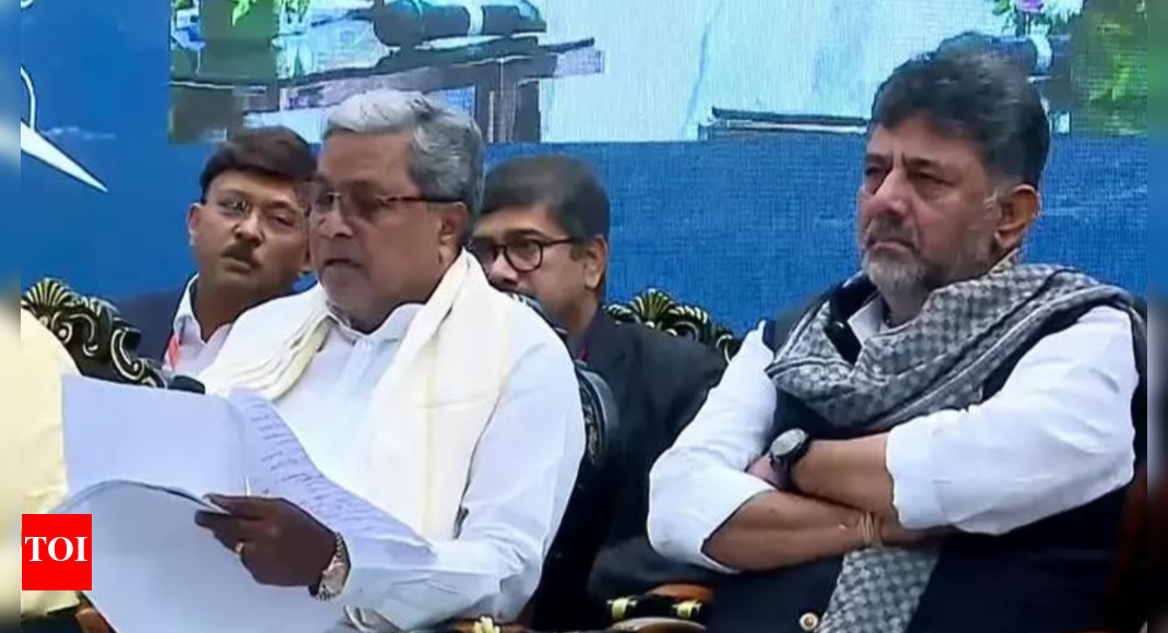 Karnataka CM buzz: DKS says no cabinet reshuffle, meets Priyanka Gandhi