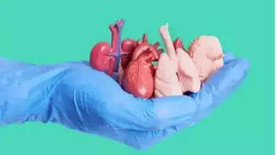 Guntur brain dead woman’s organs give new lease of life to multiple patients