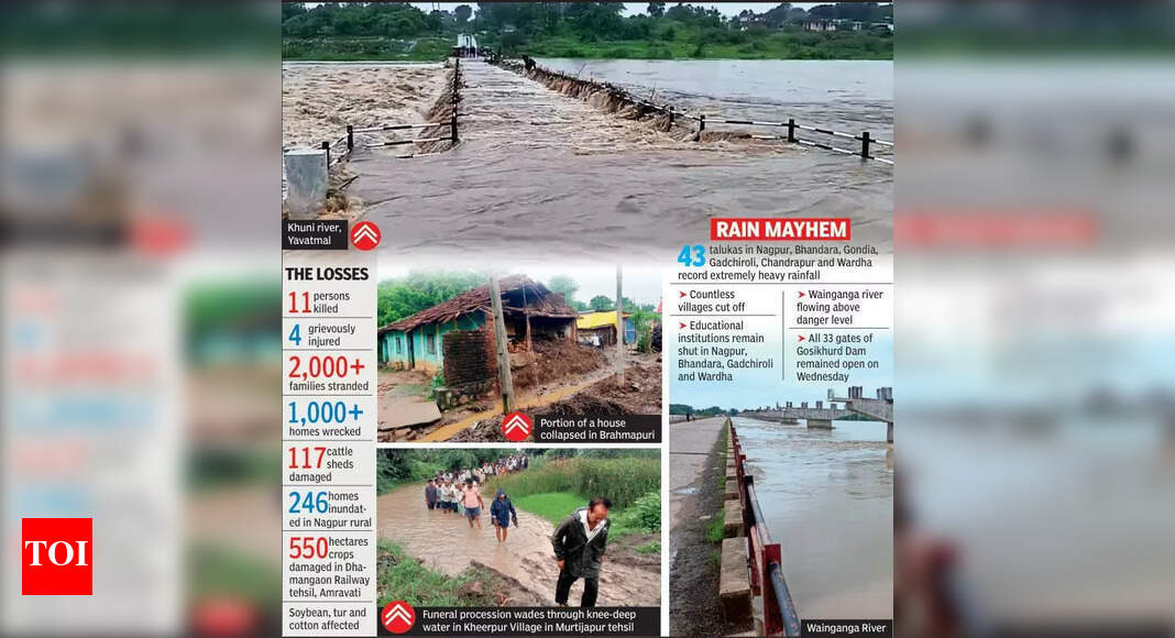 11 dead, 2,000 families marooned, 1,000 homes wrecked in flood-hit Vidarbha