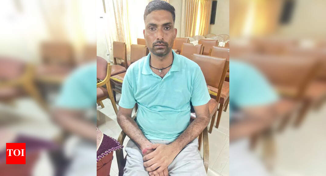 The Times of India - Business - News Image