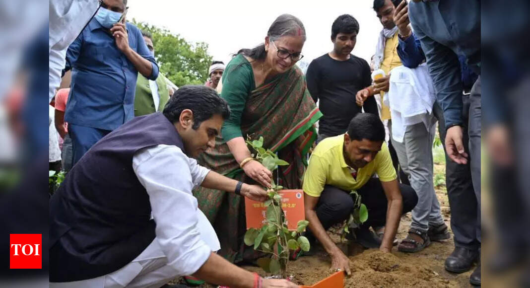 The Times of India - Politics - News Image