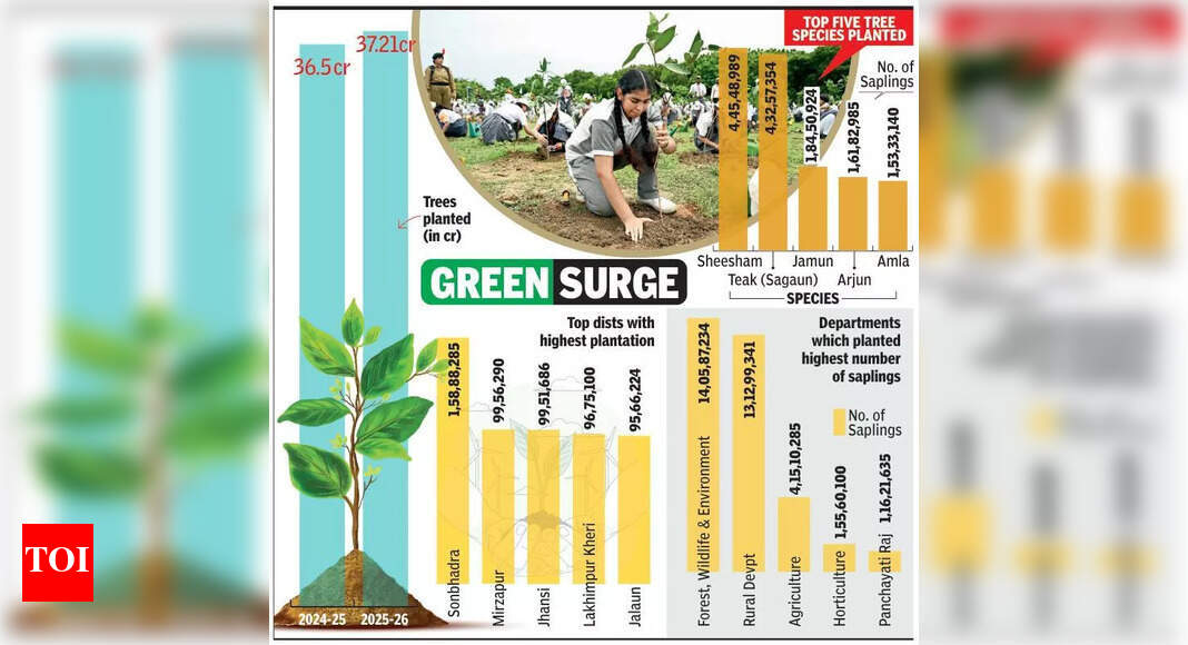 The Times of India - Politics - News Image