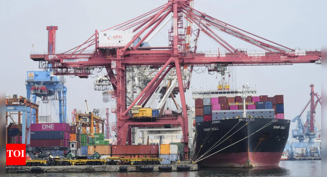 India demands IMO probe into foreign cargo ship incidents