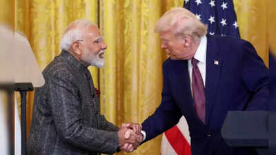 India-US Set To Finalise Mini Trade Deal Within 48 Hours, Full Talks May Begin July 9