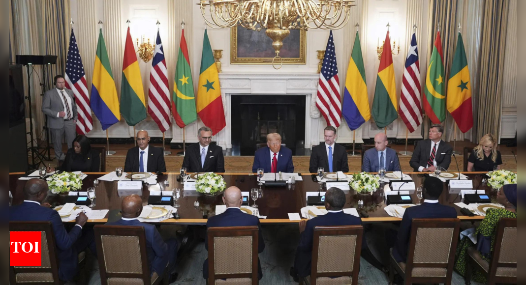 'Such good English': Trump’s compliment to Liberian President triggers criticism - watch